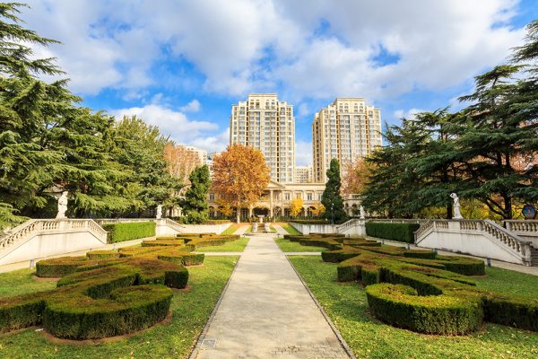 Urban garden